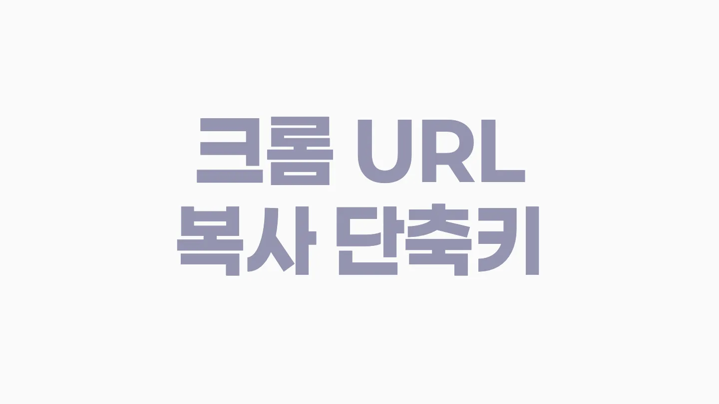 크롬에서 주소표시줄(URL) 복사하는 단축키 이미지
